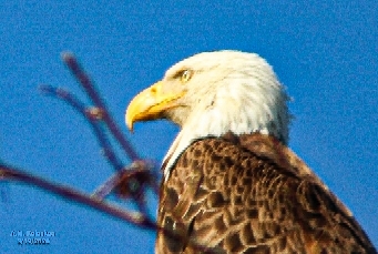 37.22,-76.72 Colonial Parkway, Marker K29, Williamsburg Va (アメリカ合衆国)