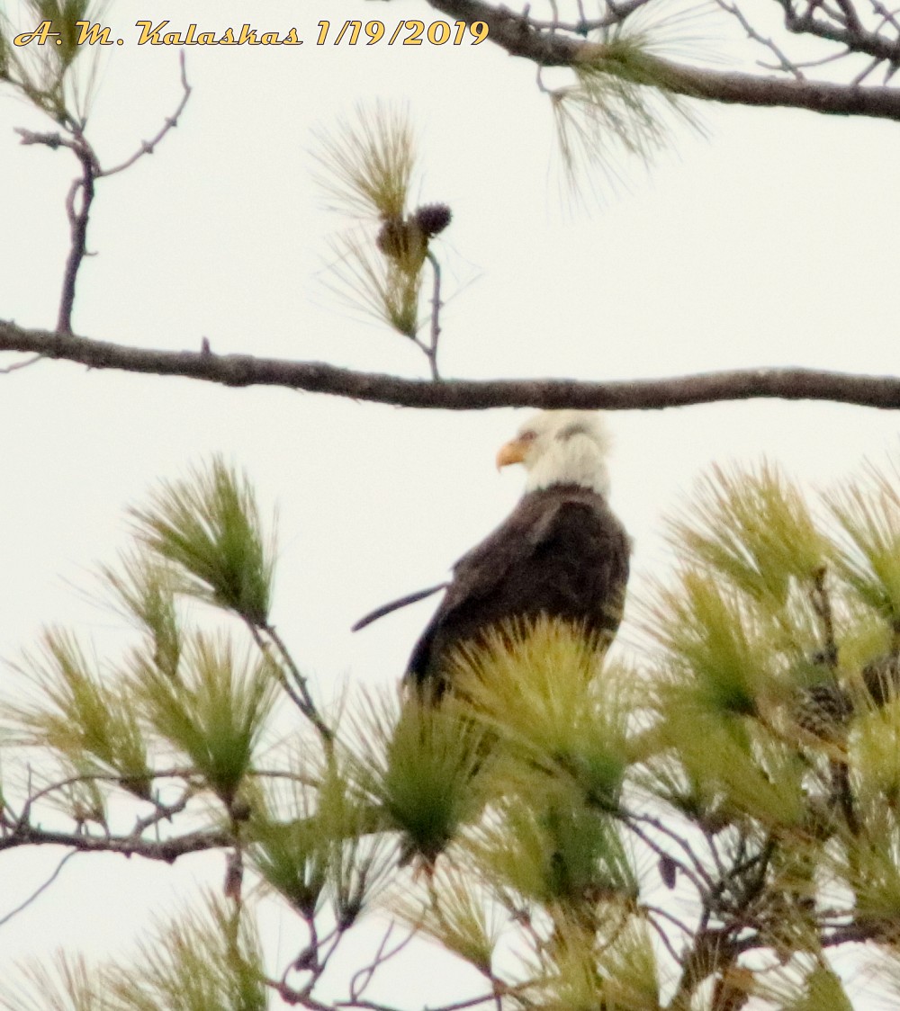 37.22,-76.70, Marker K27, Colonial Parkway, Williamsburg va 23185 (États-Unis)