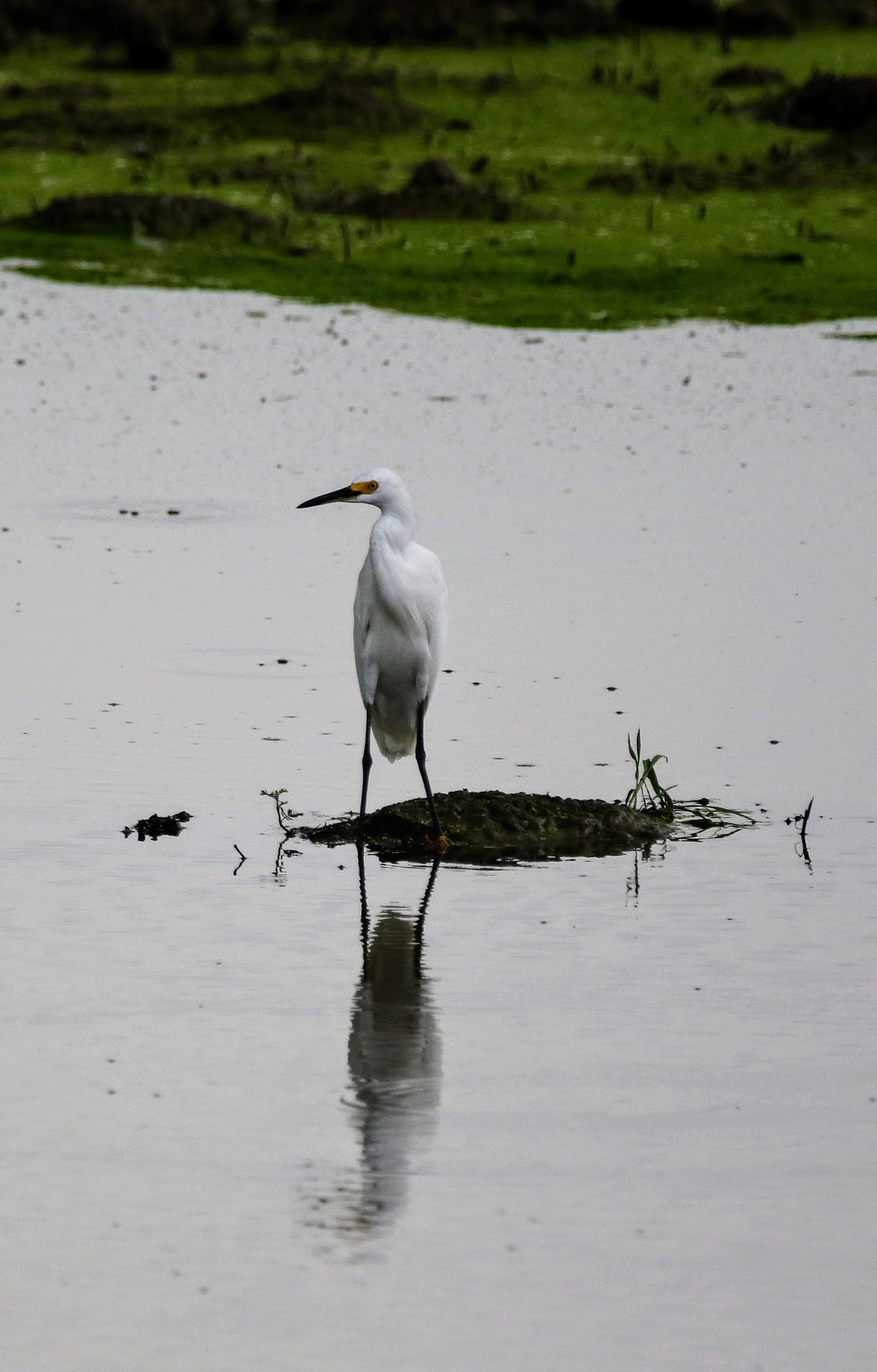 Puerto Inca (Ecuador)