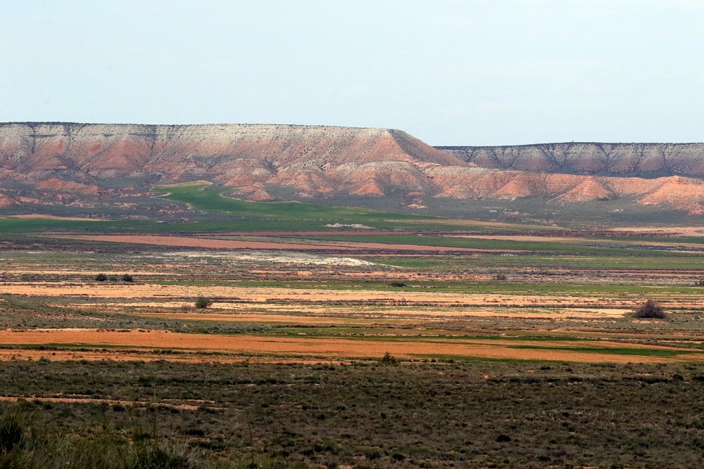 El Planeron (Spain)