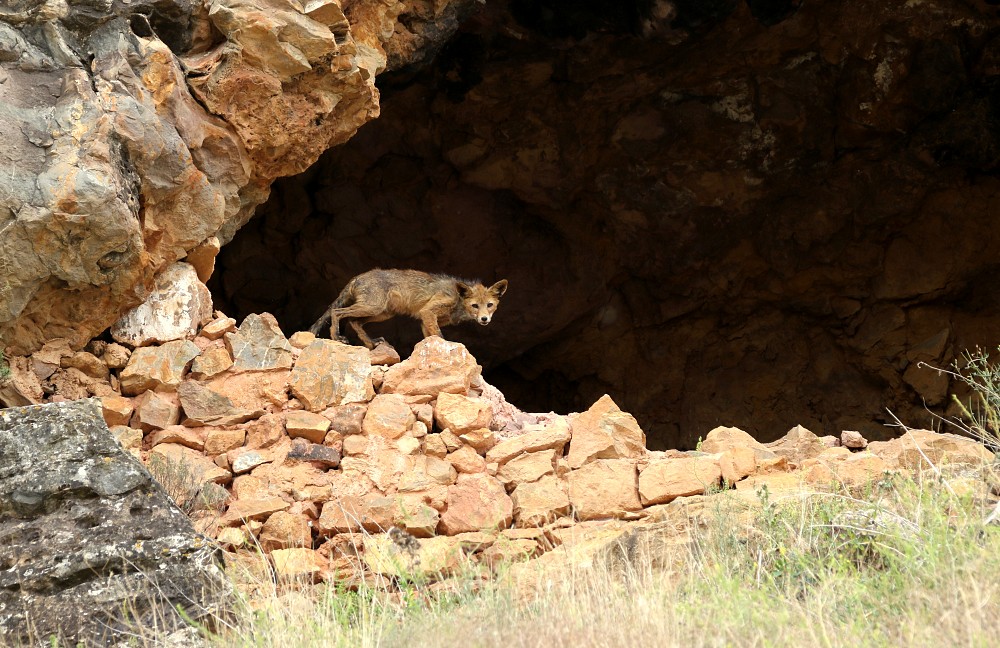 Sierra de Alcarama - Embalse Anamaza (西班牙)