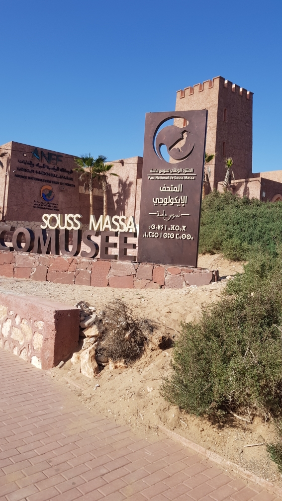 Oued Massa Chemin de l