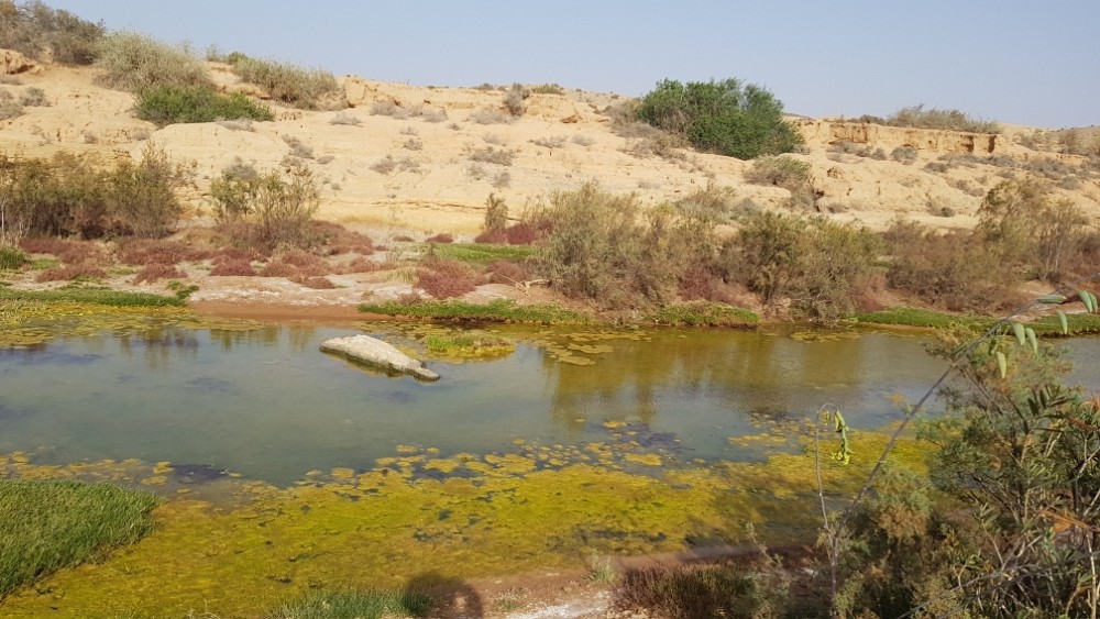 Oued Noun Fort Bou Jérif  (Morocco)