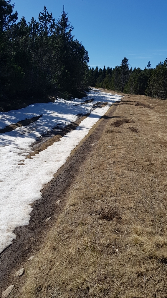 Mont Lozère col de Finiels (France)