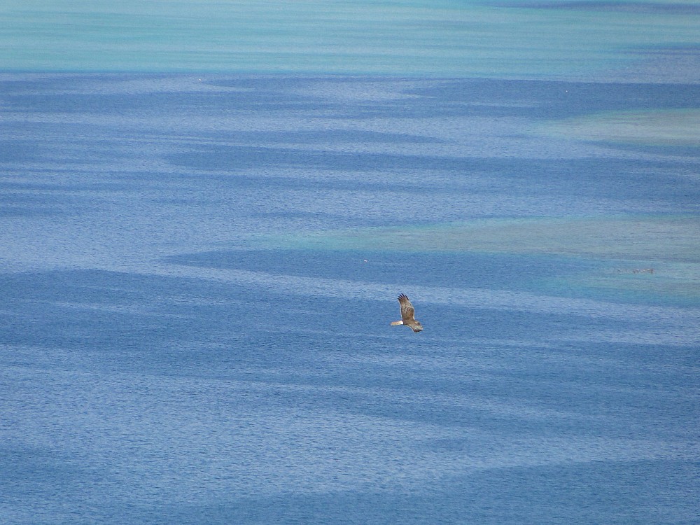 Raiatea (Polinesia Francese)