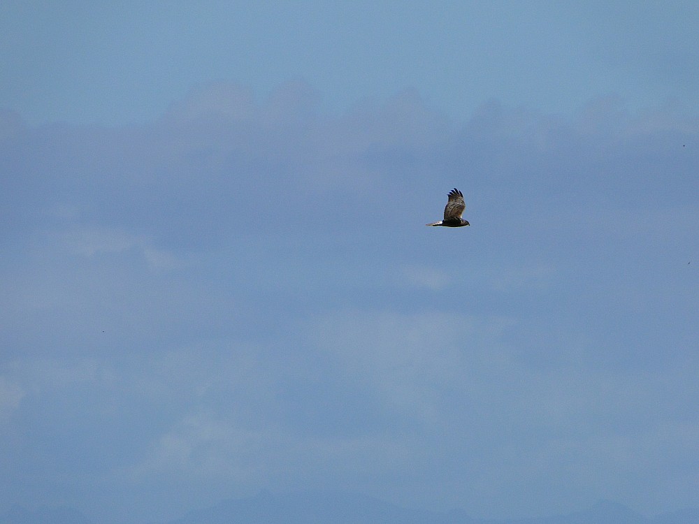 Raiatea (Polinesia Francesa)