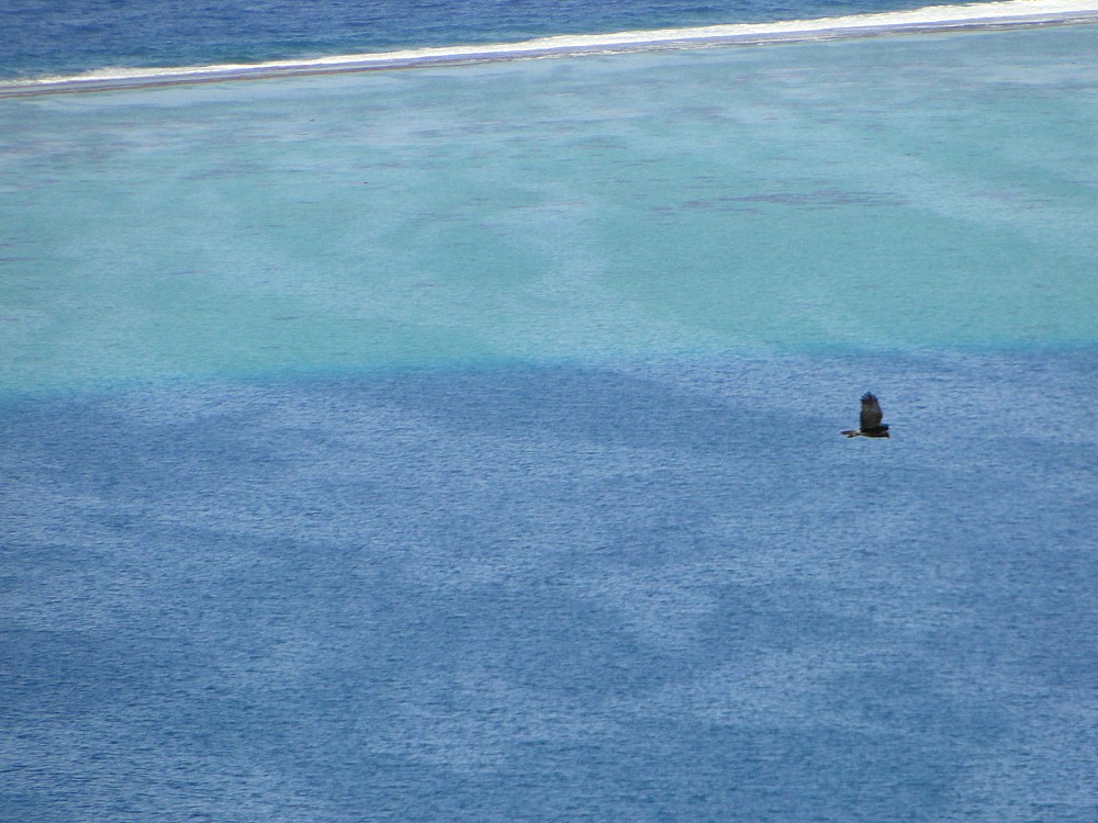 Raiatea (Polinesia Francese)