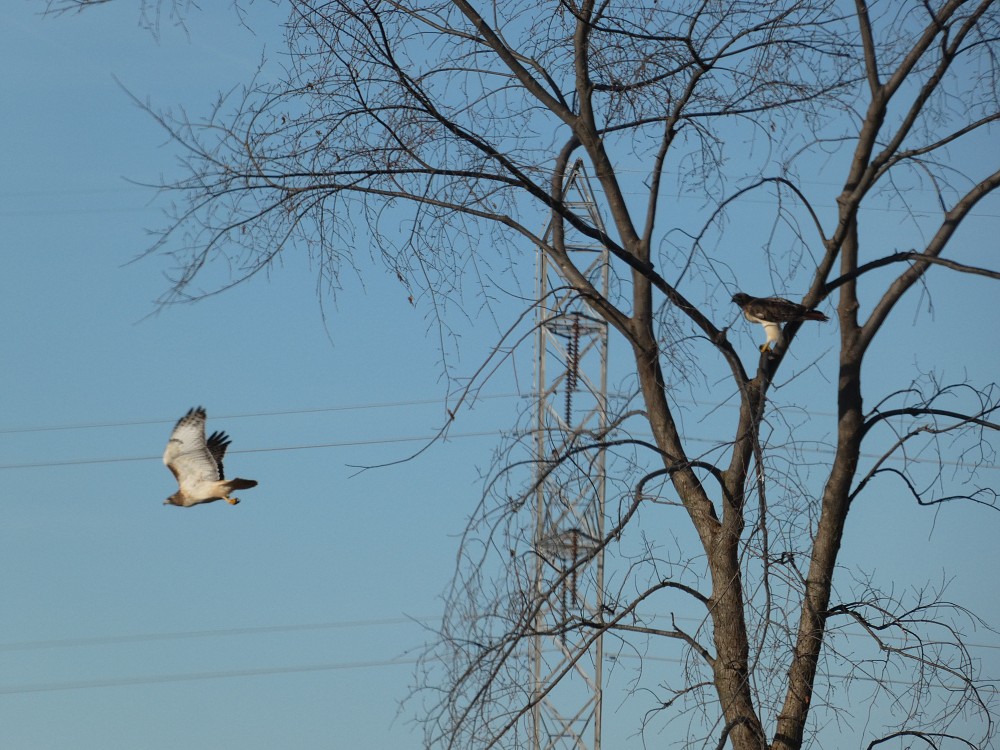 Coal Dock Park, Port Washington, Wisconsin, USA (NA)