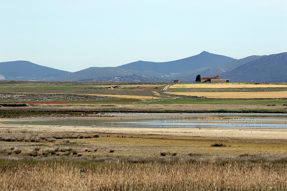 Lagune de Gallocanta (Spain)